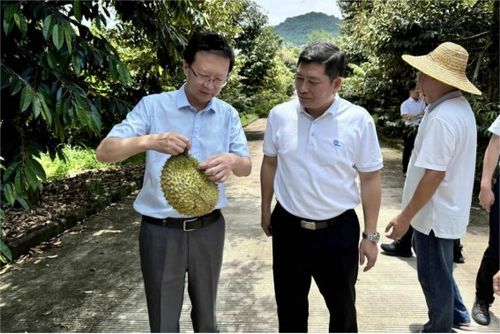 三亚研究院签约共建海南 五朵金花 乡村振兴示范村