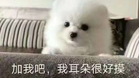 德航抢先体验22箱子开箱