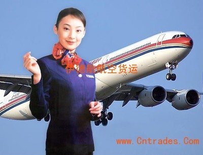 国际物流到门派送广东省空运到日本稻城市航空直线快递