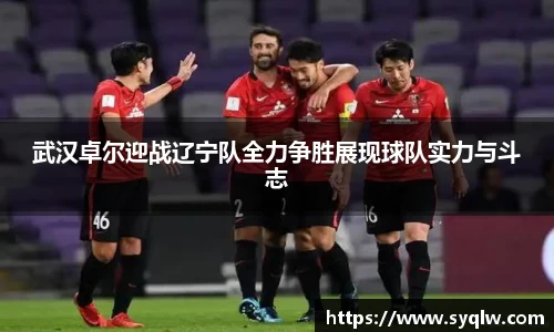 米乐YY易游武汉卓尔迎战辽宁队全力争胜展现球队实力与斗志